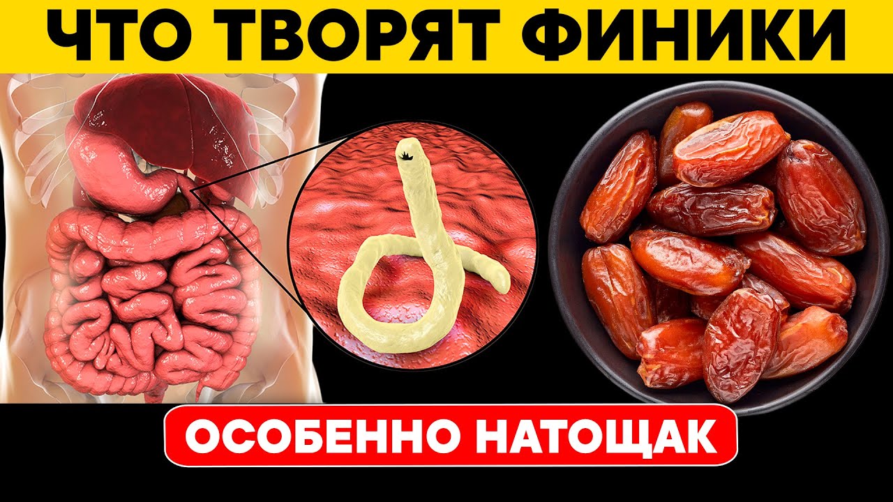 Даже 1 финик съеденный натощак может вызвать НЕОБРАТИМЫЕ ПРОЦЕССЫ в организме. Что творят финики?