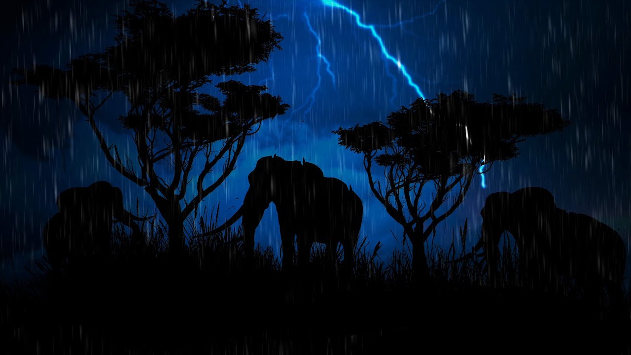 Forest Rain and Thunder Sounds | Wind Down, Sleepy