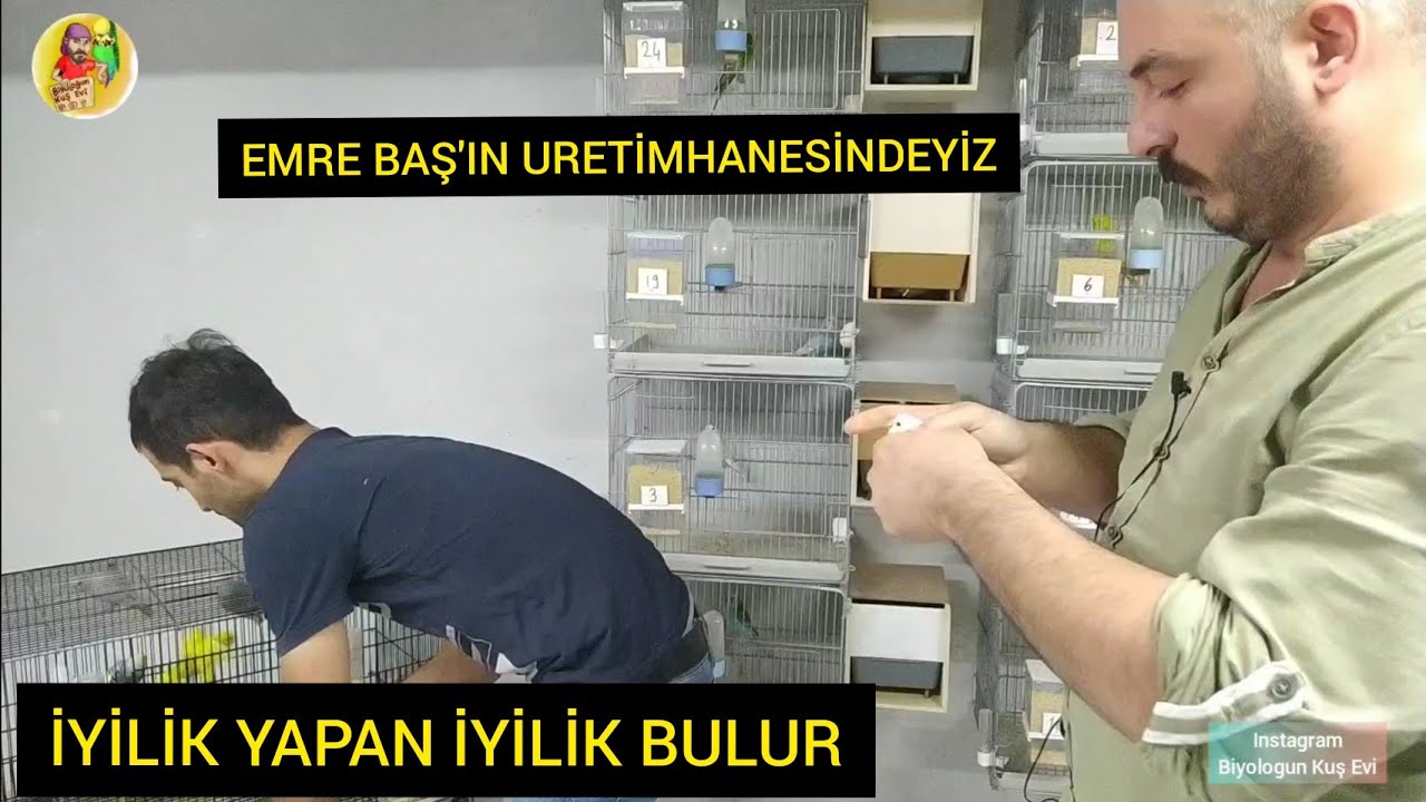 Üretimhane Ziyareti l Başka Üretimhanede Kuşları Esledik l İyilik Yapan İyilik Bulur 😉