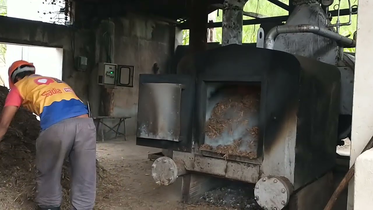 destilaria bujari engenho de produção de cachaça areia-pb