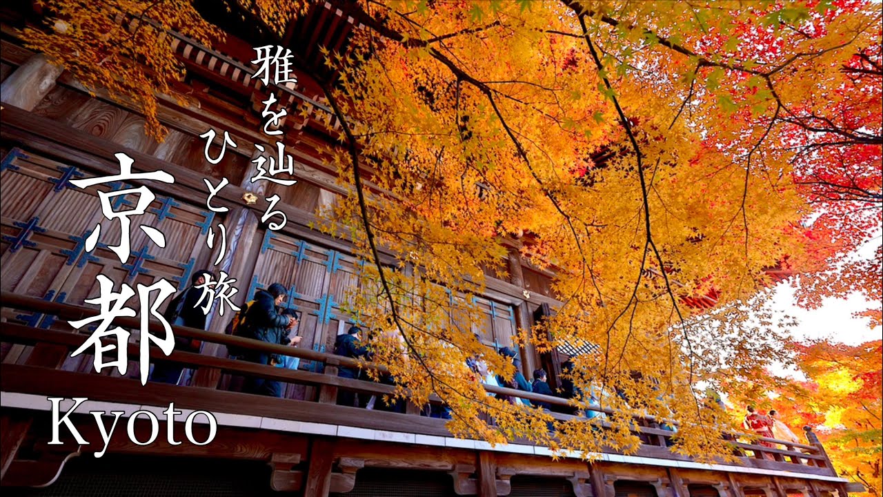 【一生に一度の体験】京都の絶景スポットをめぐる旅｜誰もいない京都最古の禅寺を特別に撮影｜2泊3日で寺社を回るひとり旅【4K/8K HDR】