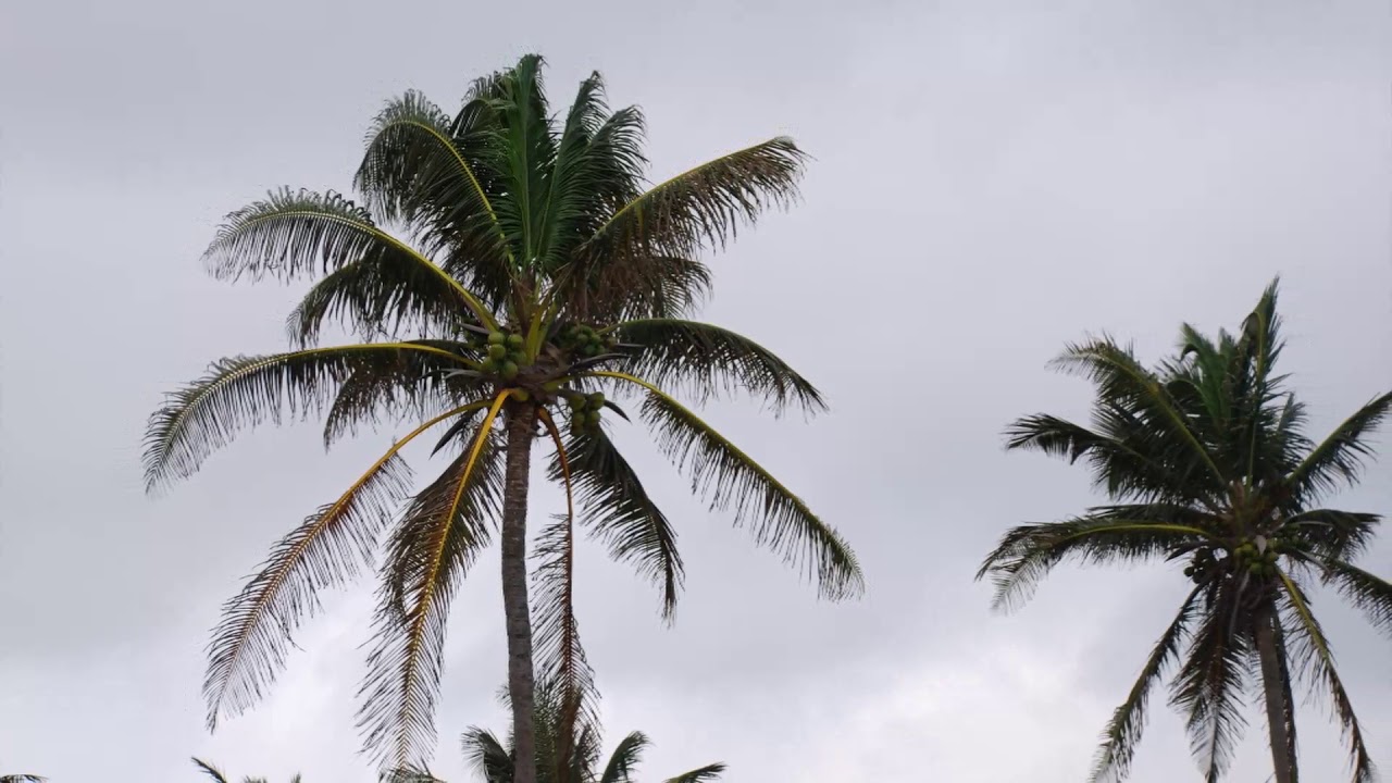 La Habana Playas del Este