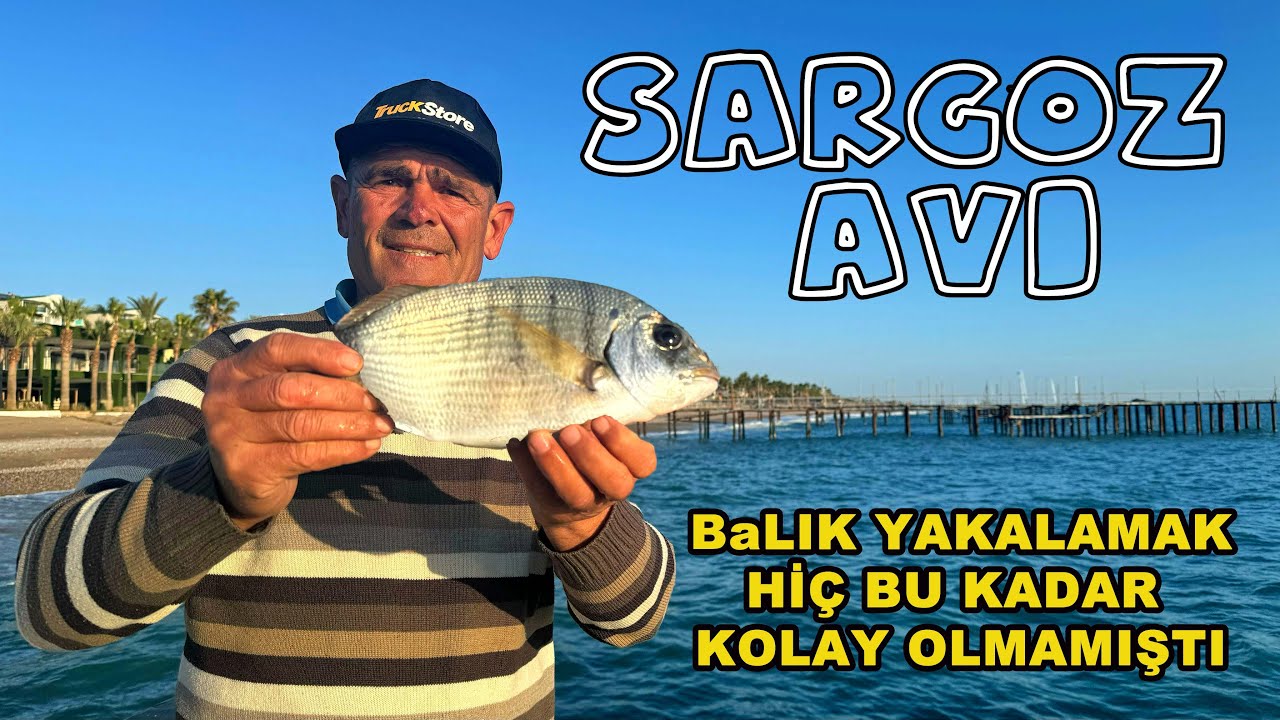 Sargoz Avı - Bu kadar kolay sargoz yakalayacağımız aklımıza gelmemişti.