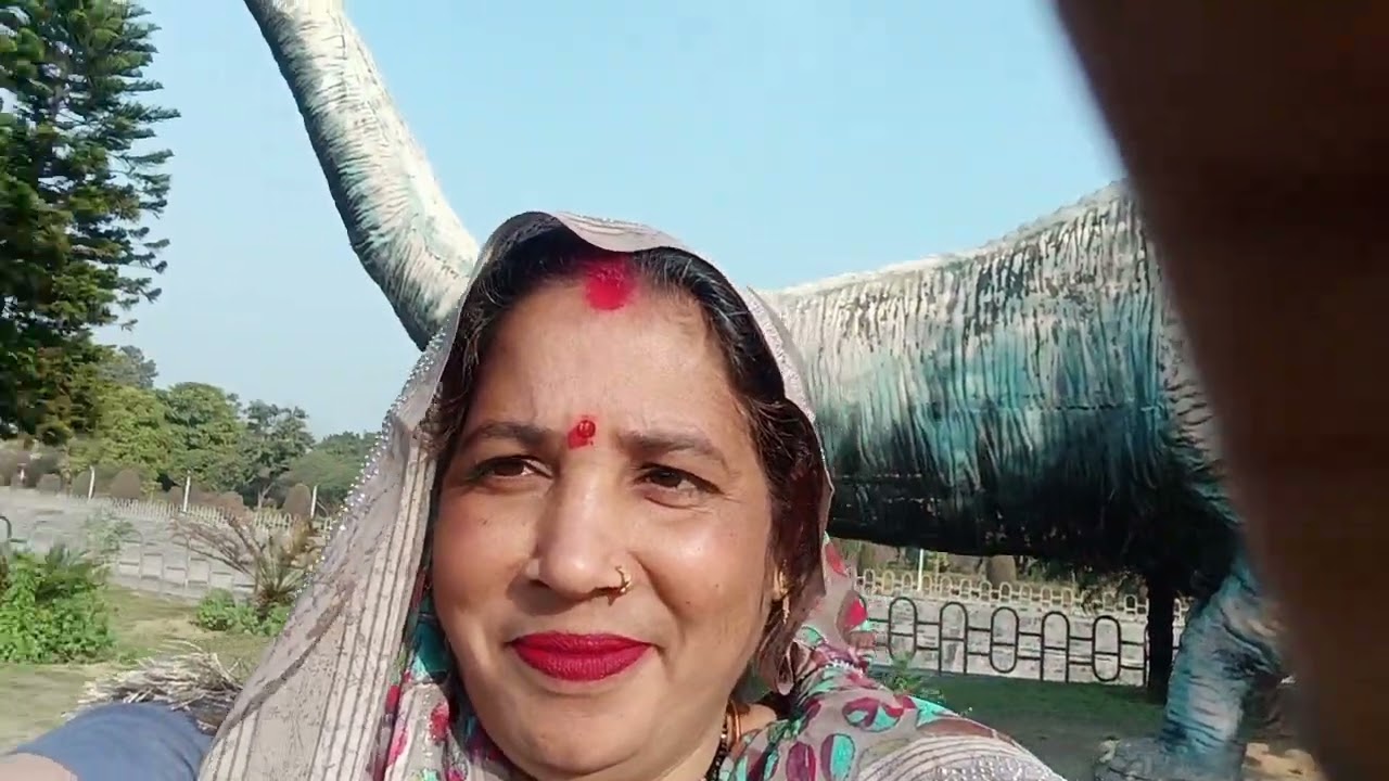 सरस्वती यादव यह दूसरा 2ब्लॉग वीडियो आप लोग जरूर देखिए