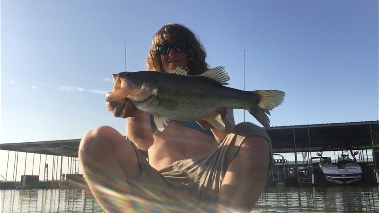 Classic | War Eagle Spinnerbait