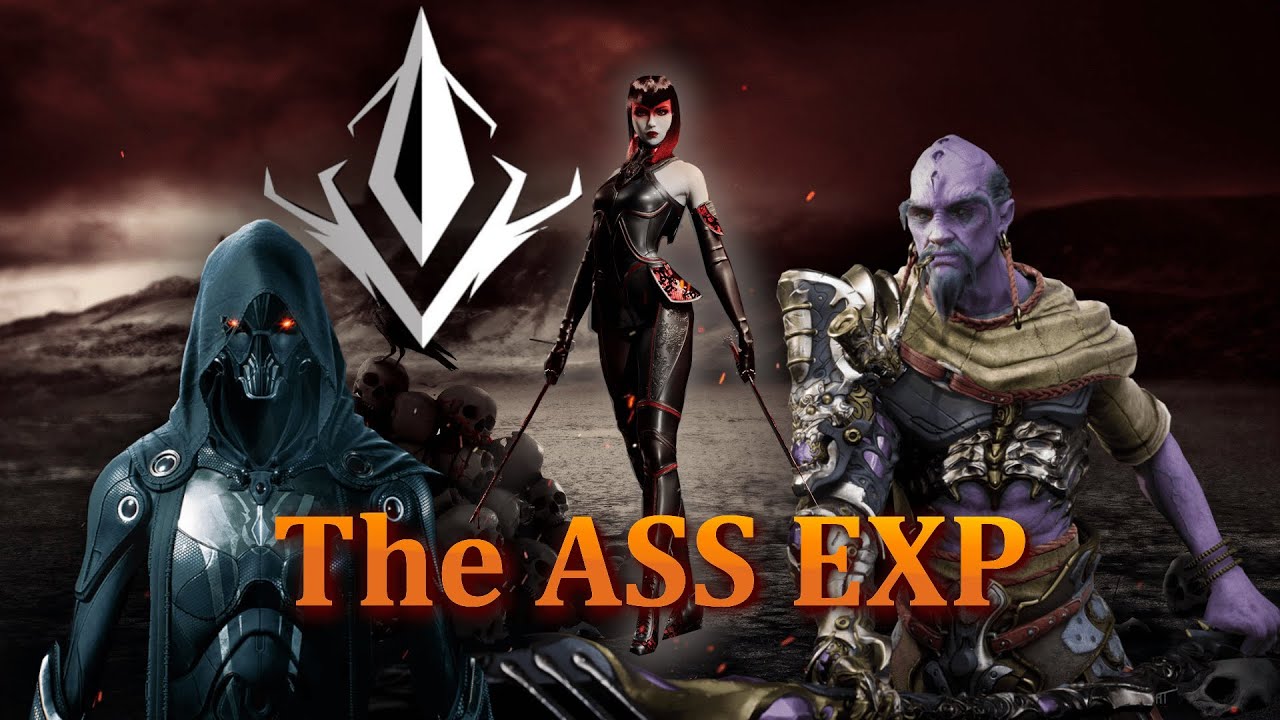 The Assassin Experience: Predecessor