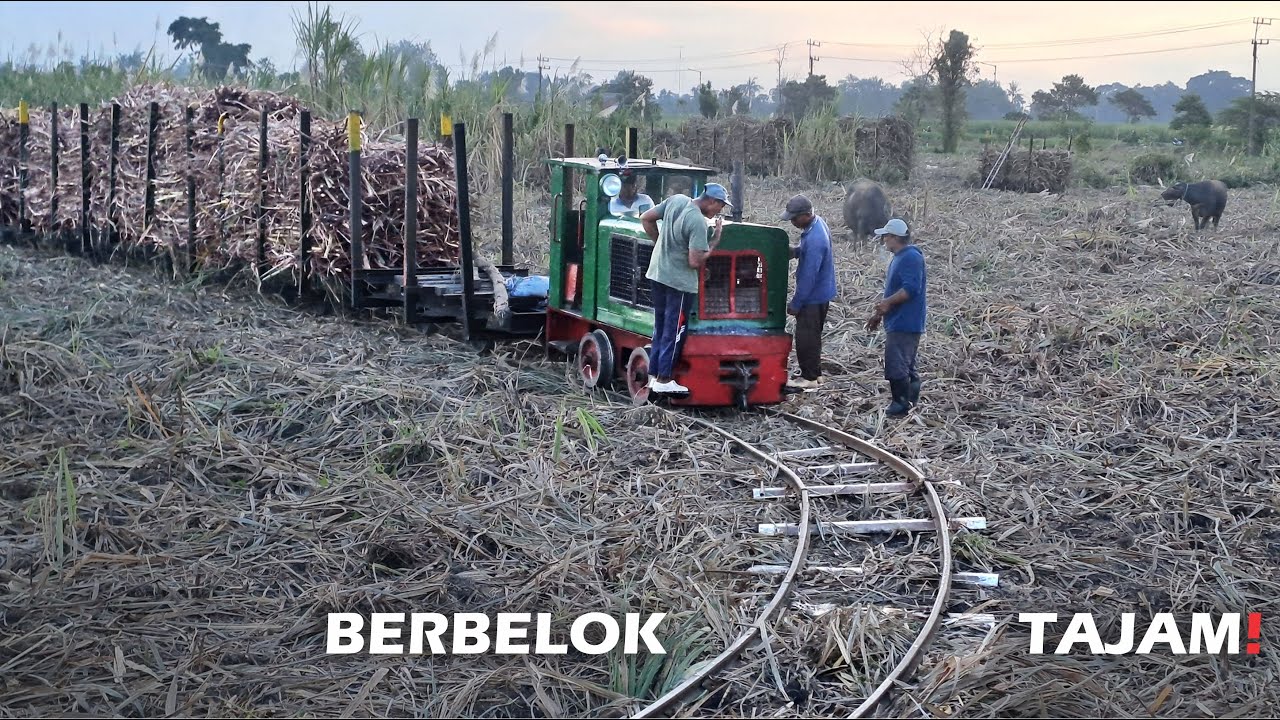 Penarikan Lori Isian dari dalam Kebun Tebu❗️Lewat Rel Bongkar-Pasang Berbelok Tajam‼️