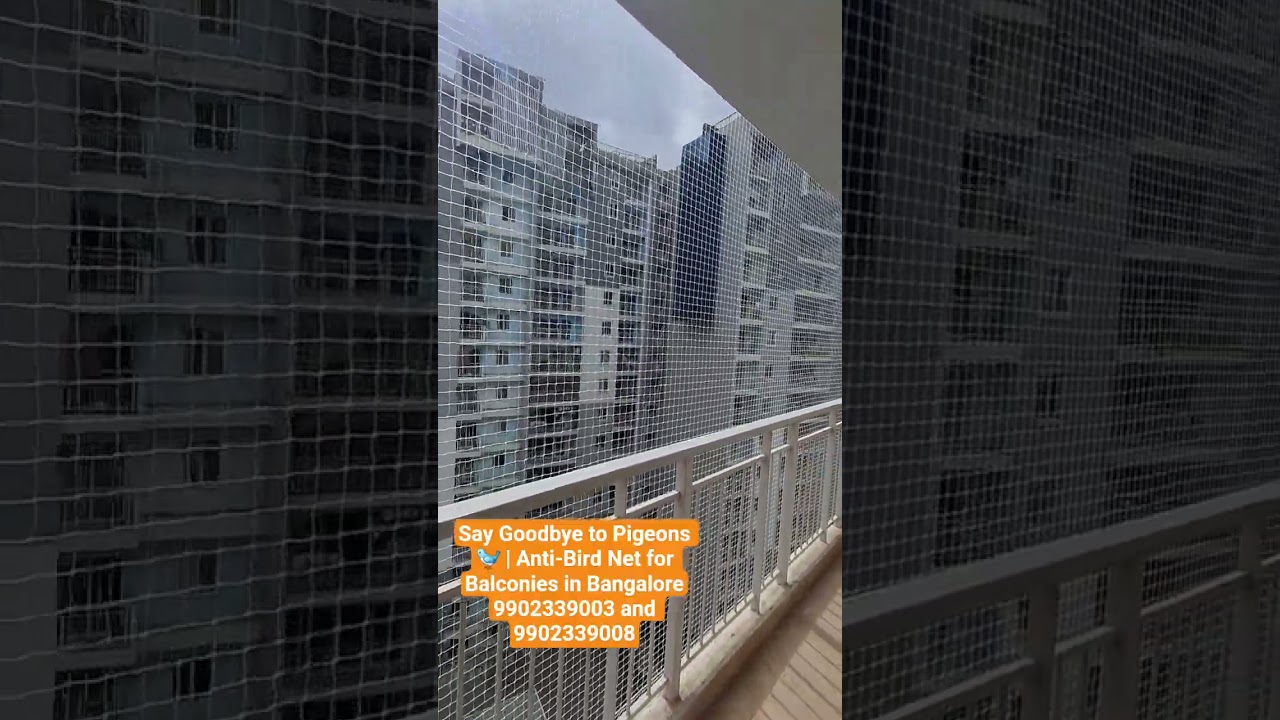 Say Goodbye to Pigeons 🐦 | Anti-Bird Net for Balconies in Bangalore #pigeon