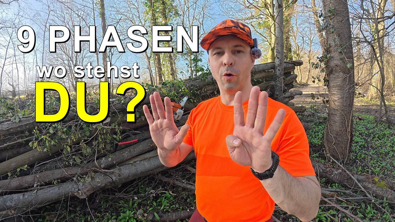 9 Phasen beim Brennholz machen: Vom Anfänger zum Profi