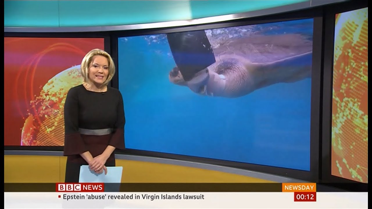 Sea turtle new lease of life with prosthetic flipper (Thailand) - BBC News - 16th January 2020