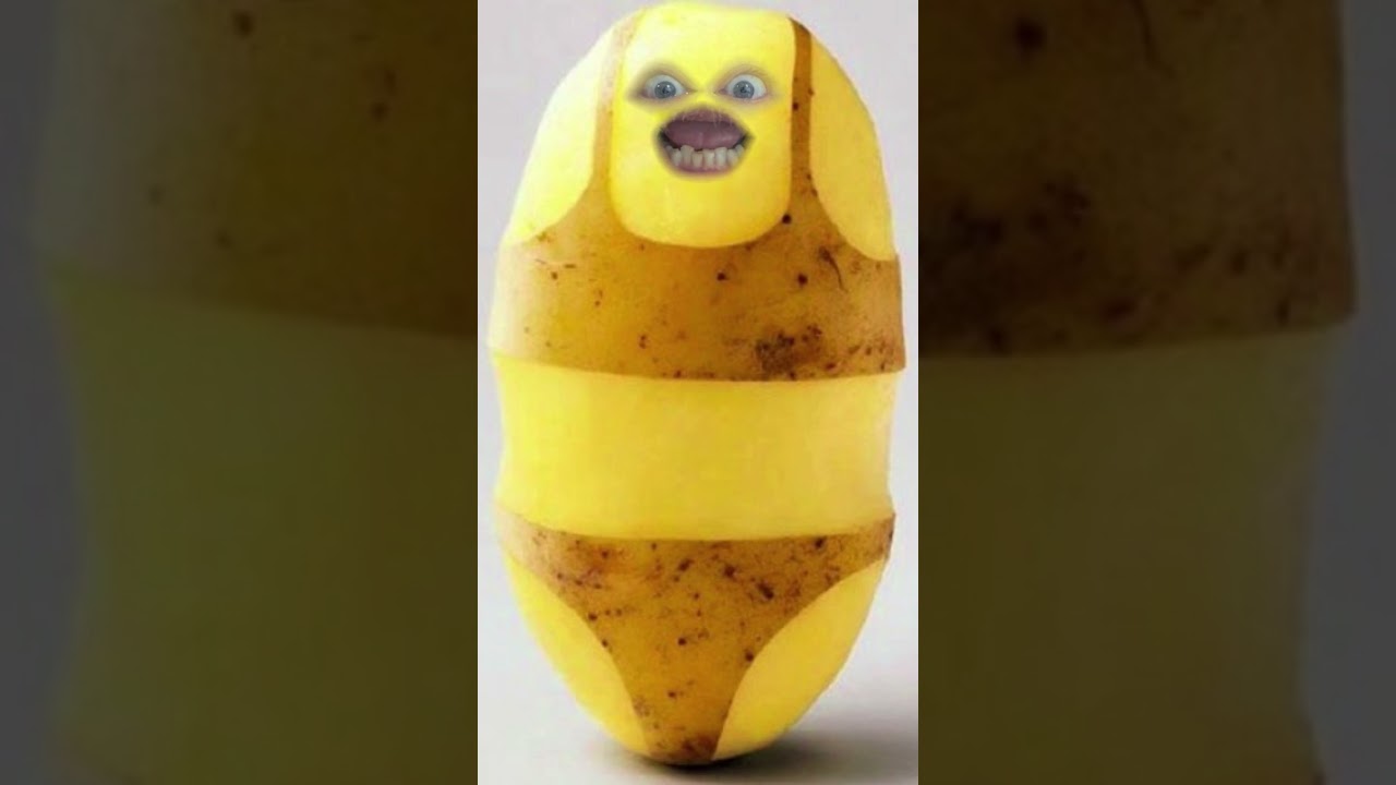 Irritante aardappel | Grappige video's, liedjes en muziek  