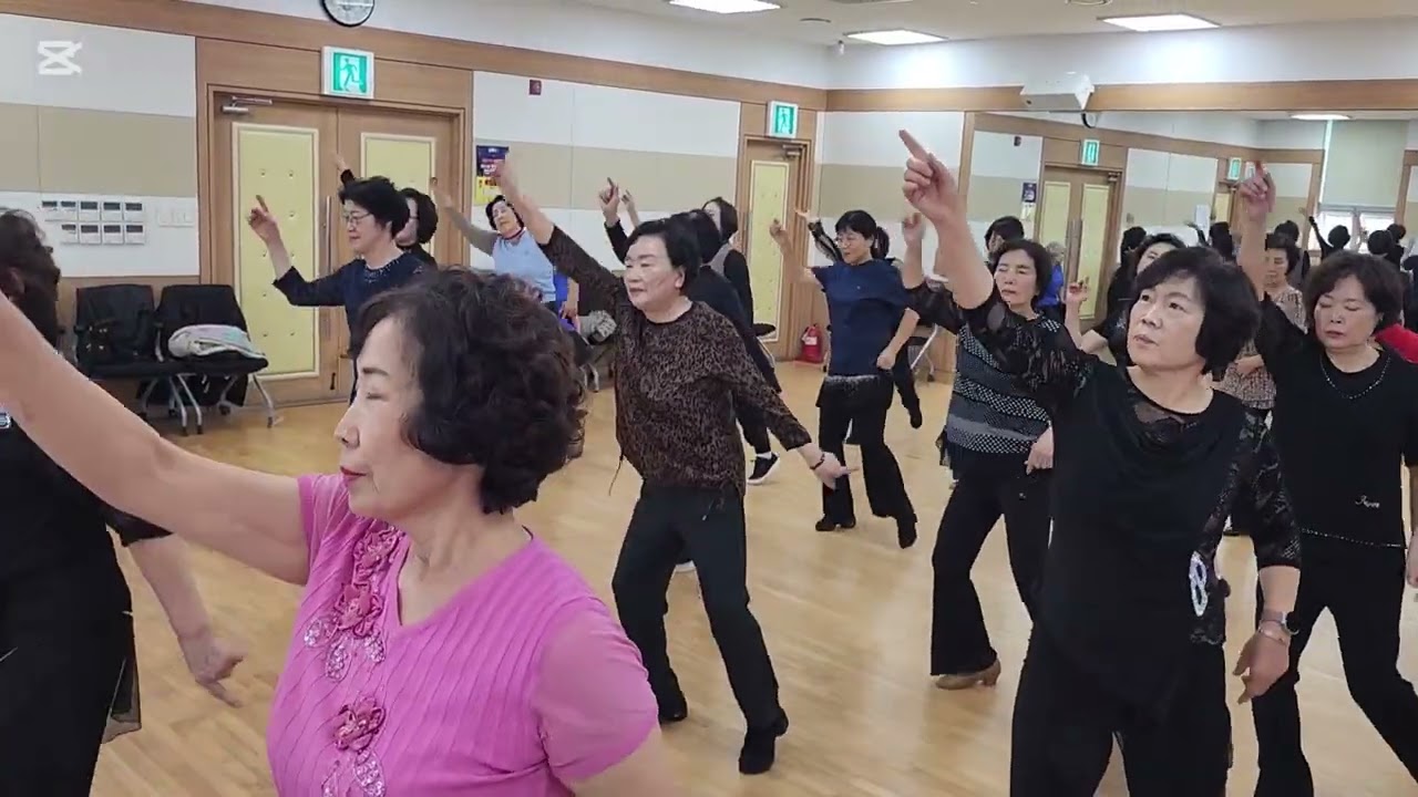 Love Disco Rimix linedance 