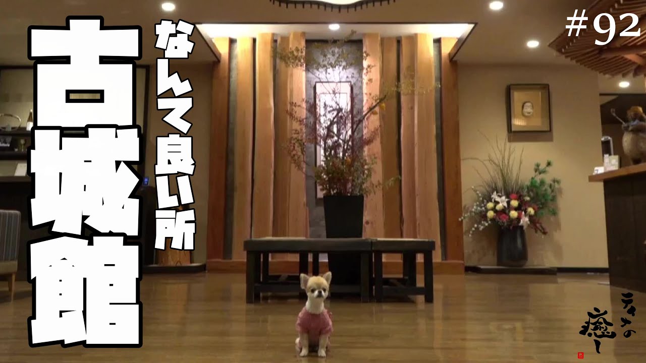 【犬旅行】新潟の愛犬と泊まれる温泉宿♪『丸山温泉 古城館』さん後編【ティナ】