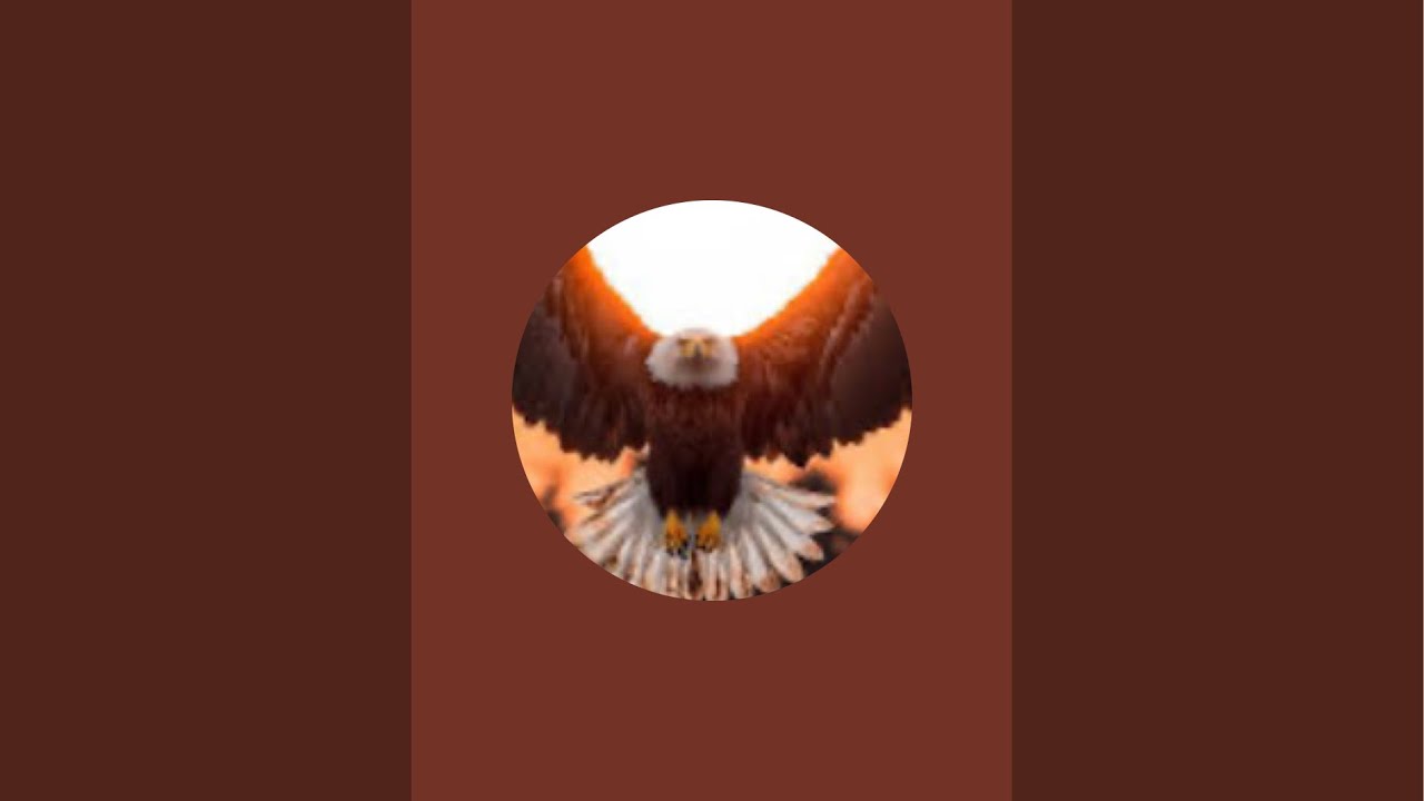 I do not own copyright for the songs being played 