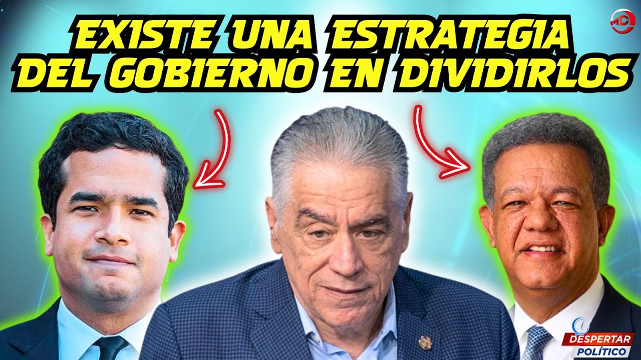EXISTE UNA ESTRATEGIA DEL GOBIERNO EN  DIVIDIRLOS