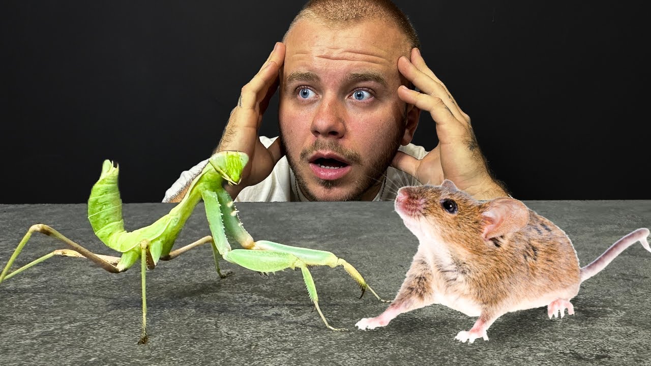 ‼️TA MODLISZKA ZJE WSZYSTKO‼️WIELKI POJEDYNEK❗️