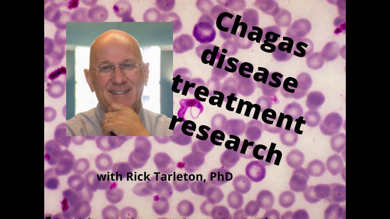 Chagas disease treatment research with Rick Tarleton, PhD