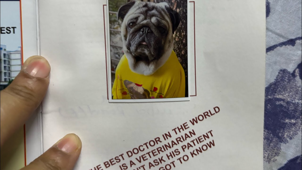 Vaccines keep dogs healthy,happy &full of life