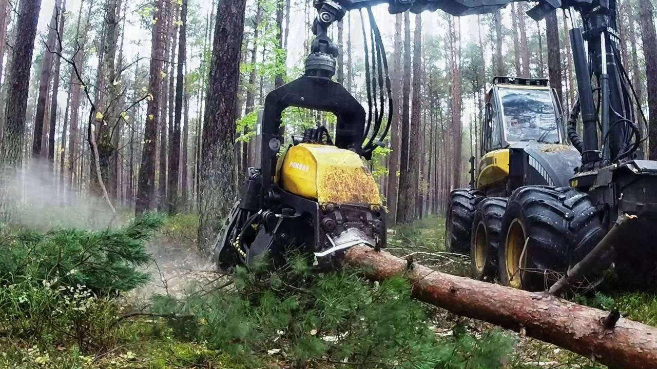Ponsse Ergo w trzebieży  HD