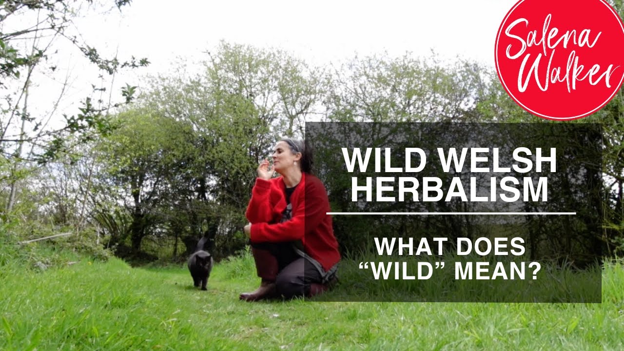 What Does “Wild” Mean in Wild Welsh Herbalism?