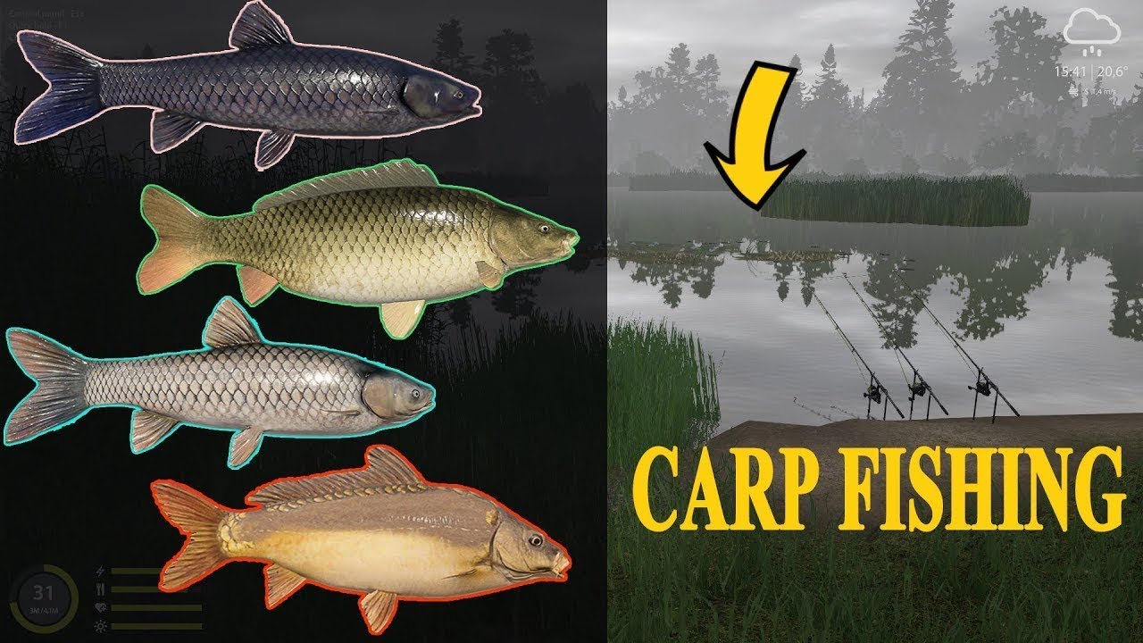 Russian fishing 4 - Bear Lake Spot for Money