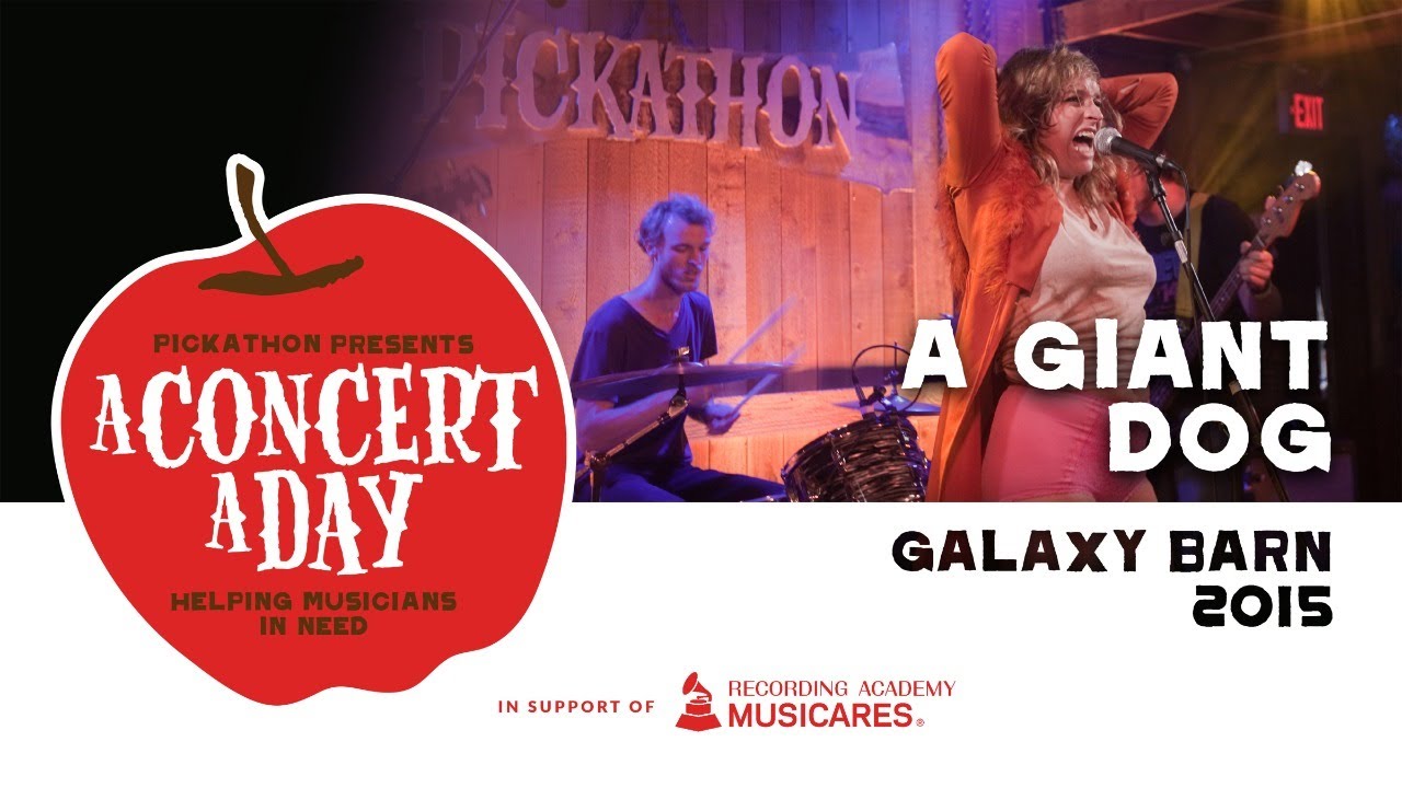 A Giant Dog | Watch A Concert A Day #WithMe #StayHome #Discover #Live #Music
