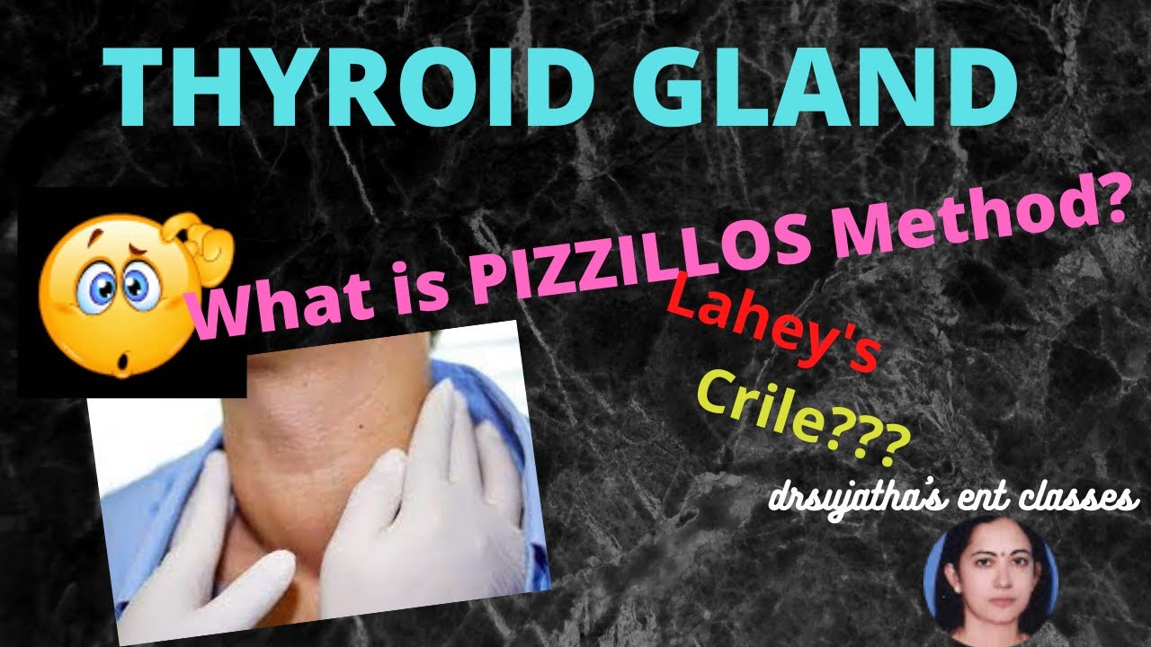 152.Thyroid Gland Examination 