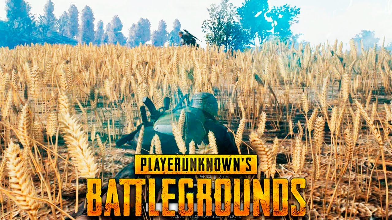 PLAYERUNKNOWN'S BATTLEGROUNDS | EL TEAM DE LOS GUSANETES EN EL TRIGO!!! | XxStratusxX