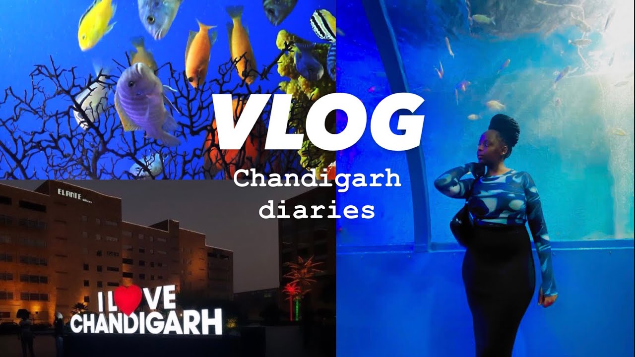 A FEW DAYS IN MY LIFE/chitchat/ Shopping/ Aquarium/ Chandigarh Birdpark #india #zimbabweanyoutubers
