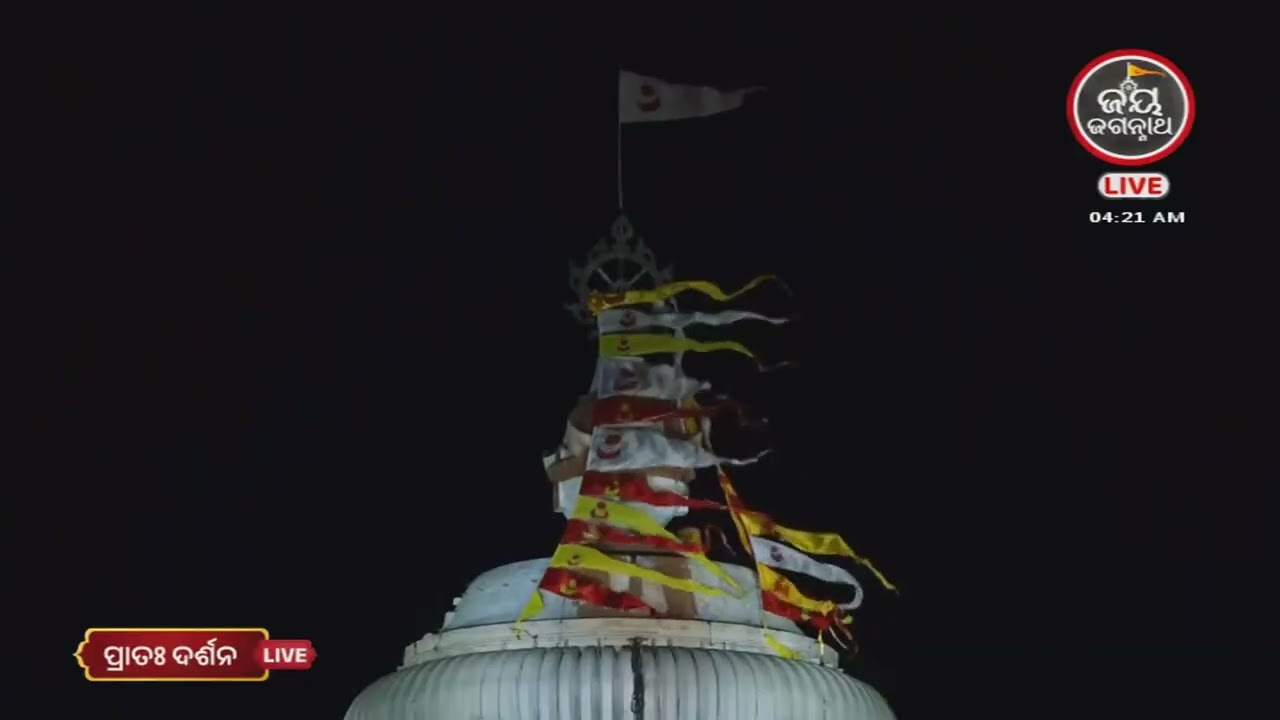 ଆଜି (08-Mar) ବ୍ରାହ୍ମମୁହୁର୍ତ୍ତରେ ଶ୍ରୀଜୀଉଙ୍କ ଦର୍ଶନ | Jay Jagannth Tv