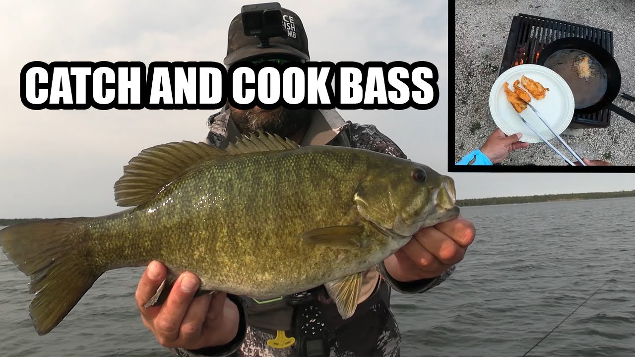 Catch and Cook Smallmouth Bass!!