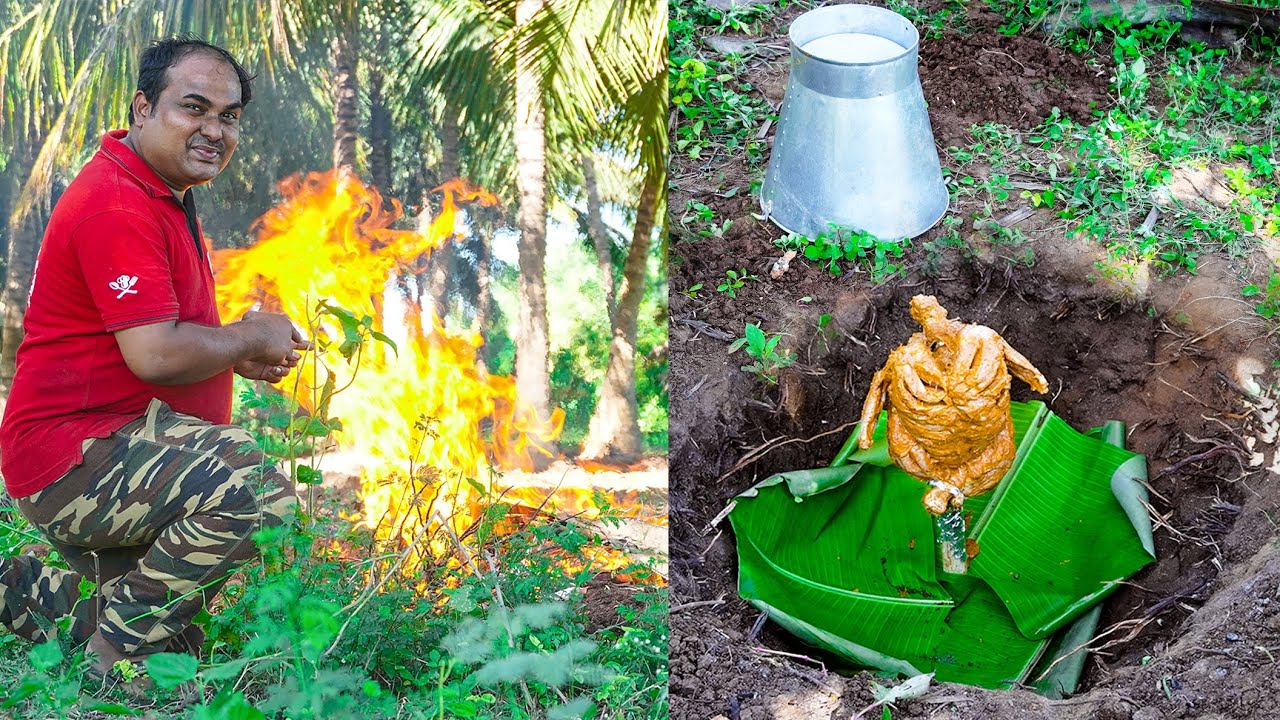 Underground Bucket Chicken |  Underground Chicken | World Food Tube
