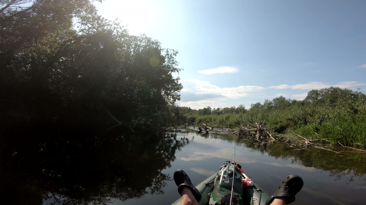 Сплав по речке Põltsamaa, kayak trip in Estonia, day 6, day 7