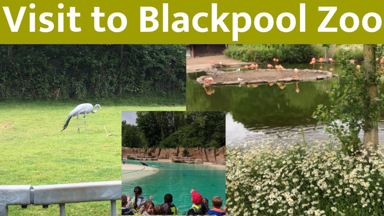 Visit To BlackPool Zoo In UK