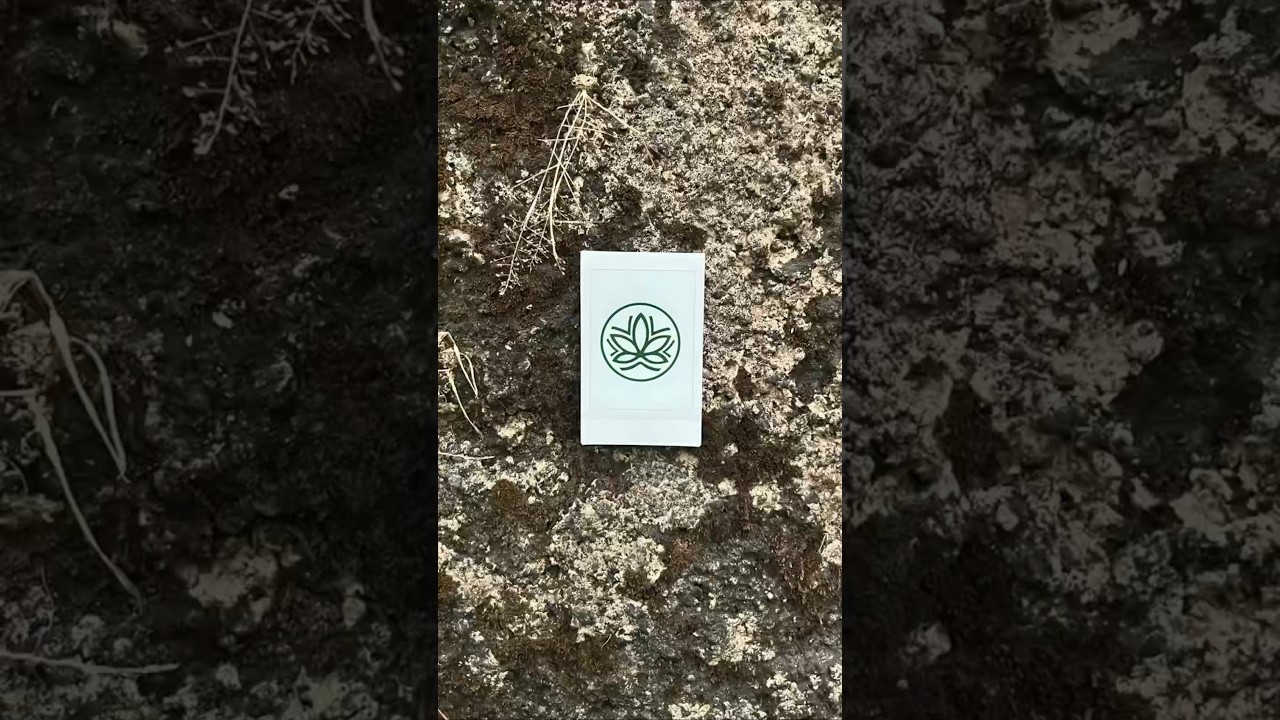 Where nature meets style- Cannabie #ytshorts #cannabiseducation #hempseedoil #youtubeshorts
