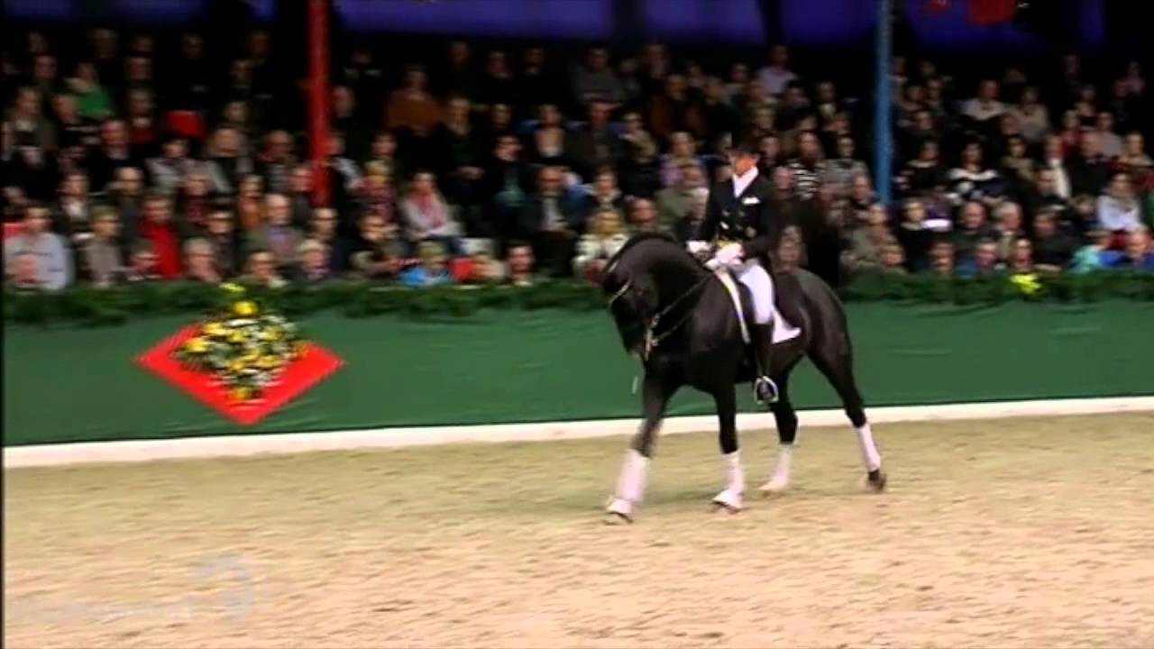 Hampton Vechta 2014