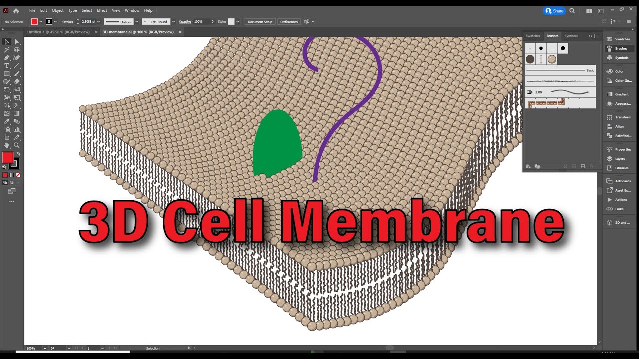 Клеточная мембрана в Adobe Illustrator