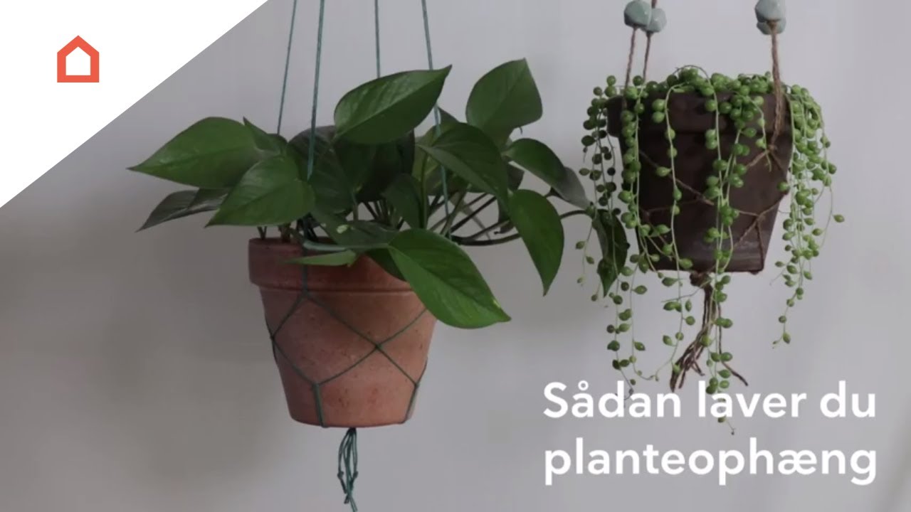Sådan laver du et planteophæng