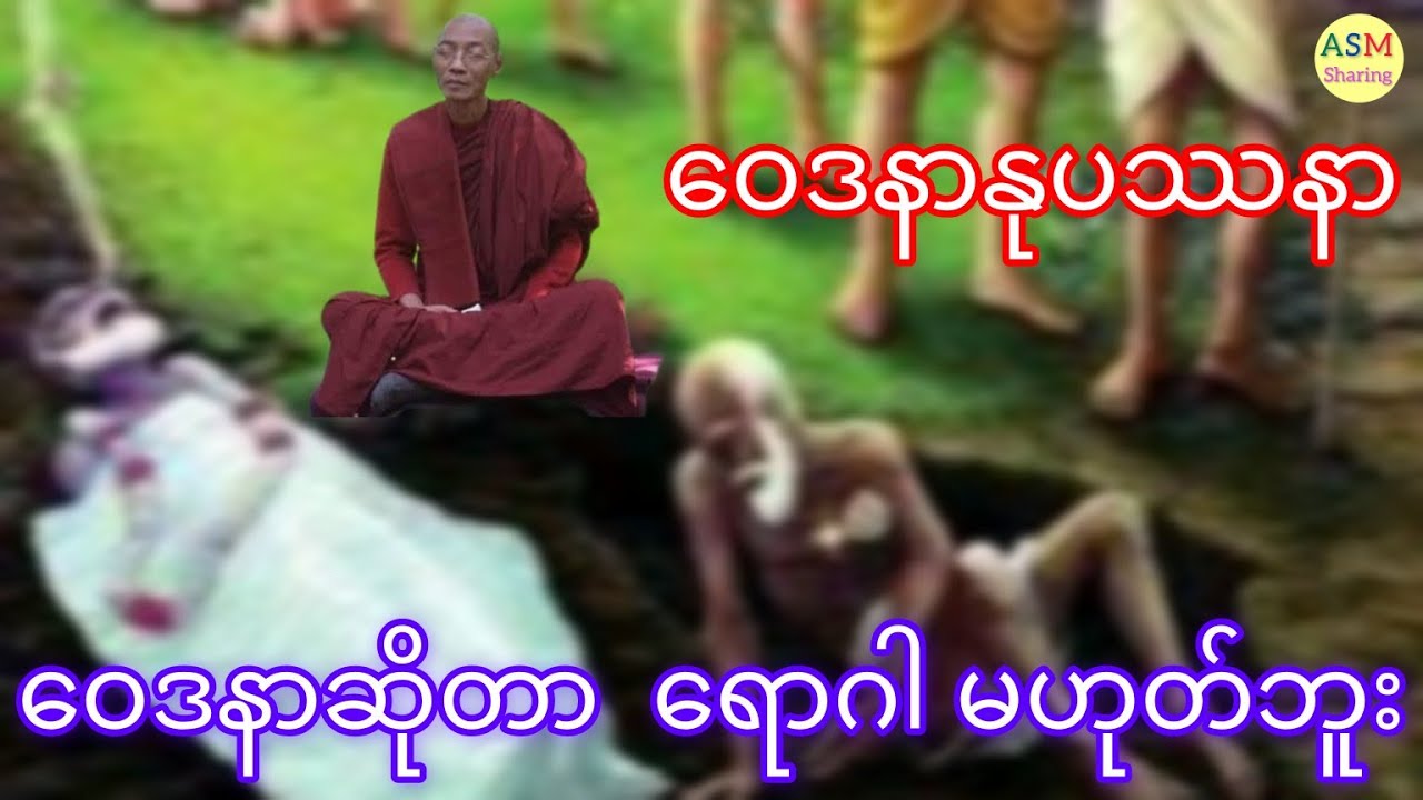 ဝေဒနာနုပဿနာ (ပါမောက္ခချုပ်ဆရာတော်ဘုရားကြီး) #asmsharing