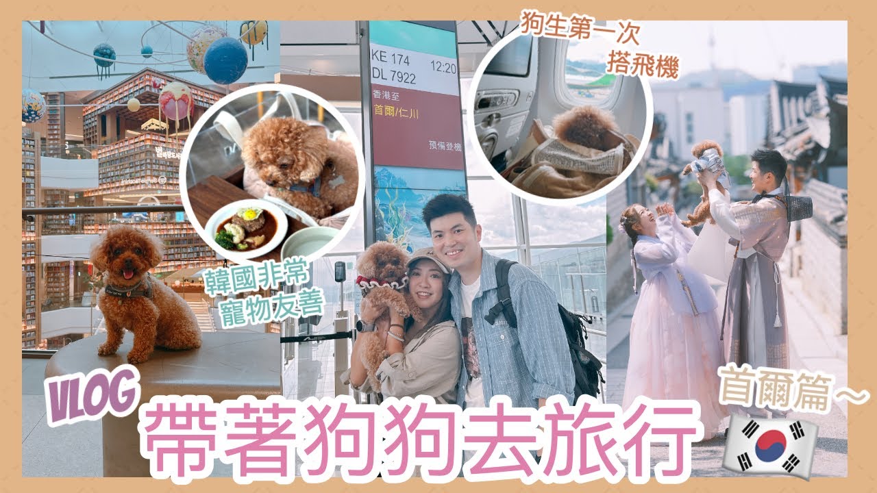 ✤ 首爾VLOG🐶 ✤ 終於帶CHOPPER出國旅行🇰🇷狗生第一次坐飛機✈️ 帶小狗體驗著韓服📸踏鐵路單車🛺吃醬油蟹🦀逛寵物友善商場🛍️整天傻笑～在韓國留下狗毛之旅🍗 ||Dottie Hidee||