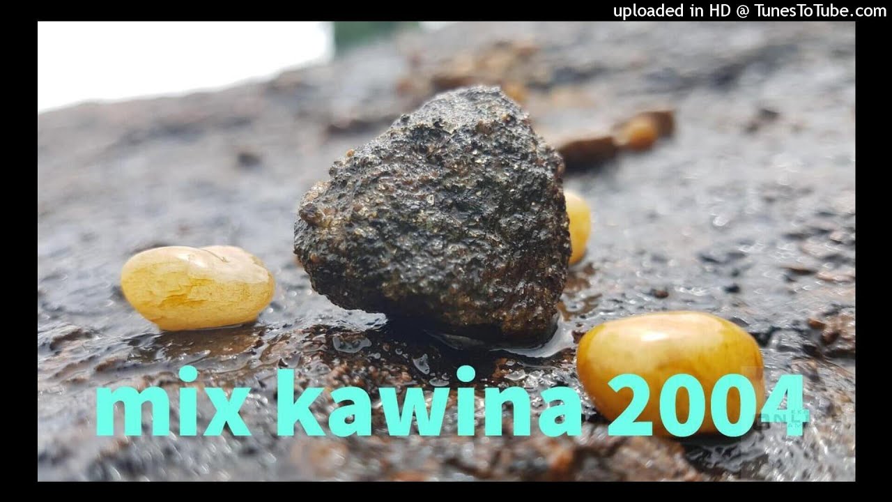 Mix kawina 2004_de uma sani na fu ding boi
