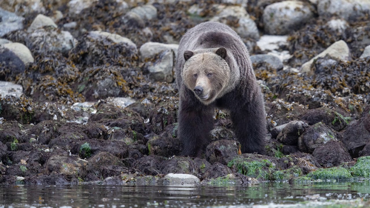 May Long Weekend 2018