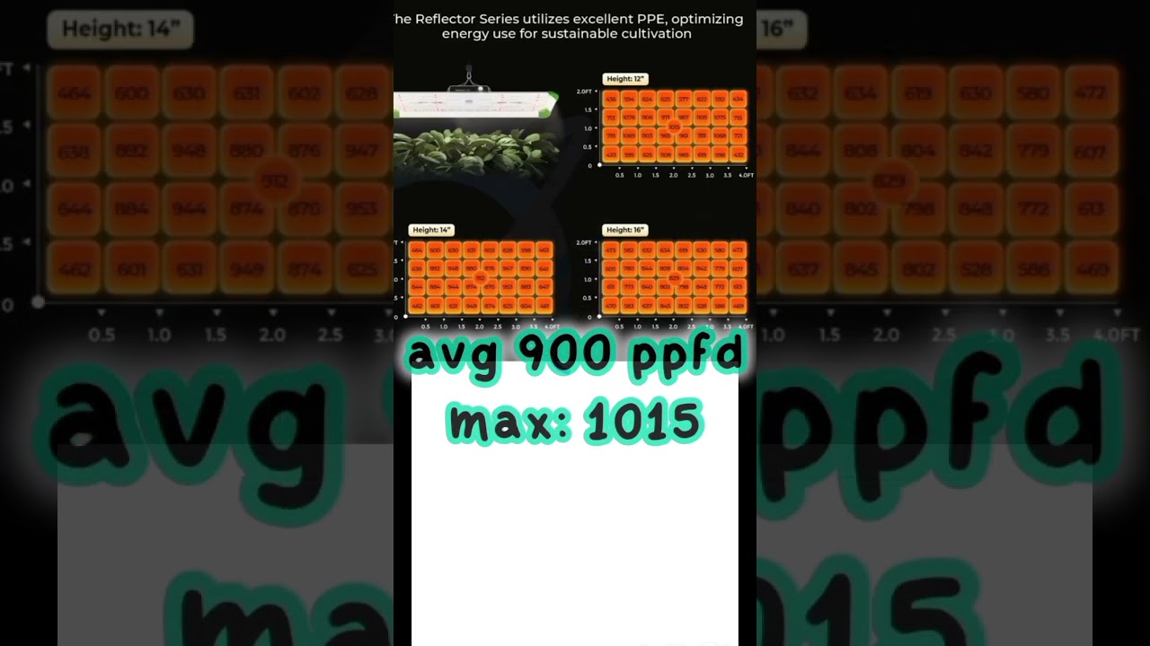 Reflector Series: Mars Hydro #marshydroR2000/P2000
