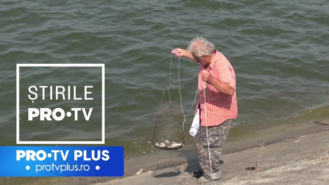 Suma uriașă câștigată de un fermier care crește râme. Cum i-a venit ideea