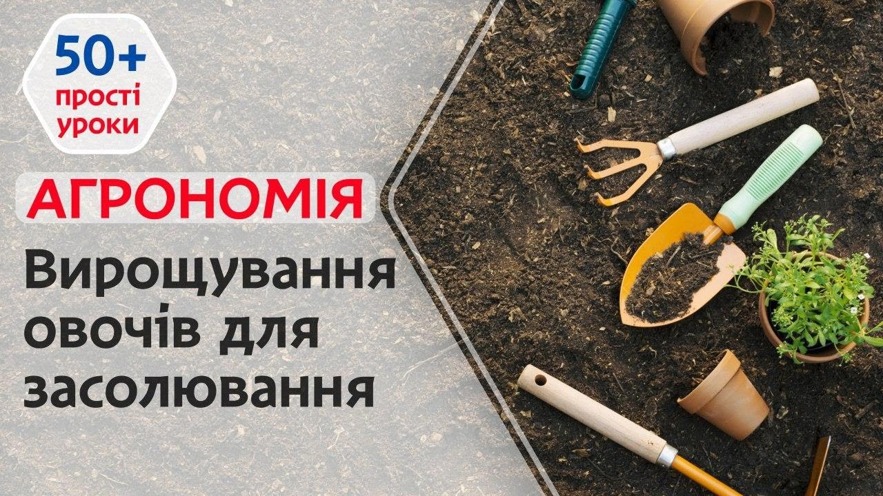 Як виростити ідеальні овочі для засолювання