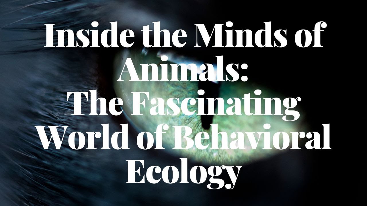 Inside the Minds of Animals | The Fascinating World of Behavioral Ecology