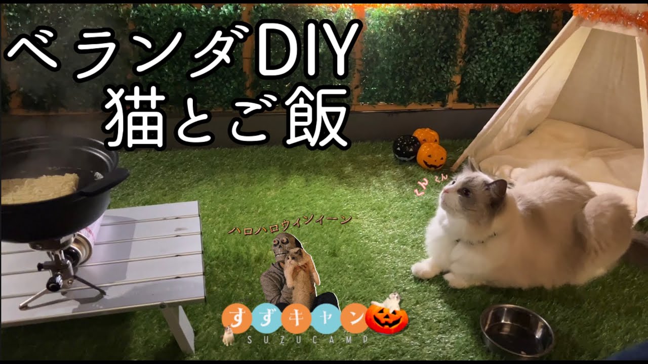 【すずキャン△】ベランダでキャンプ飯を猫と食べる【ハロウィンパーリー🎃】#ベランダDIY#ベランダキャンプ飯