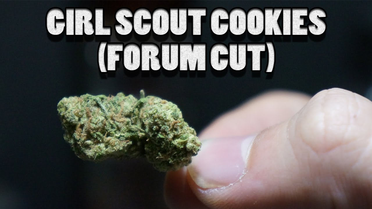 Girl Scout Cookies (Forum Cut) - Smoke Session