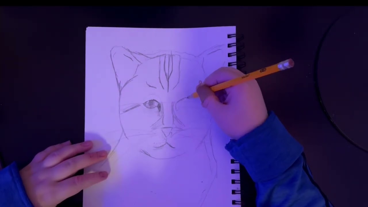 Drawing a cat (Timelapse)