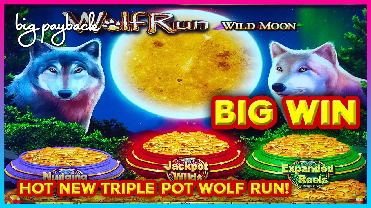 HUGE WIN! Wolf Run Desert Moon Slots - TRIPLE POT WOLF RUN!
